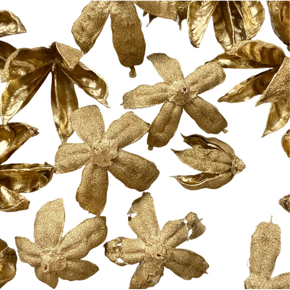 Dried Gold flowers | homegrown and handmade preserved Hibiscus seed pods - Picture 2 of 8
